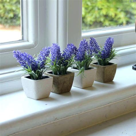 17 Wonderful Indoor Plants For Your Living Room Air Feel Fresh And ...