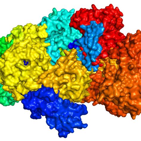 PyMOL Structure Alignment 的图像结果