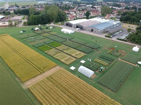 The company - Asur Plant Breeding