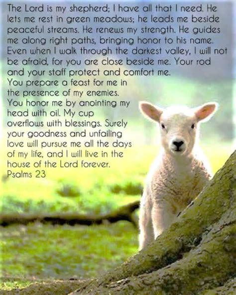 McVay-Perkins Funeral Home | Caldwell OH