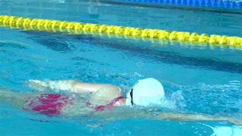 Swimmer Starting Block 的图像结果