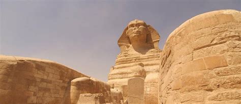 Image result for Alien Theorie