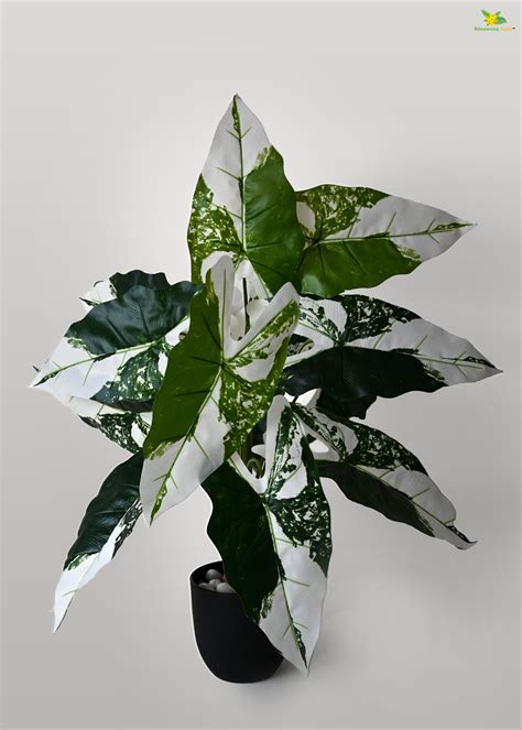 Artificial Caladium Plant for Decor | 12 Leaves with Basic Pot | 78.7 ...