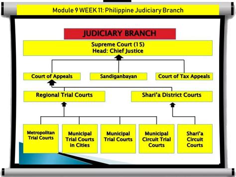 Structure Of Judicial Branch