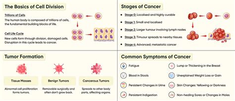 MrMed Cancer Resource Library: Explore All Cancer Information
