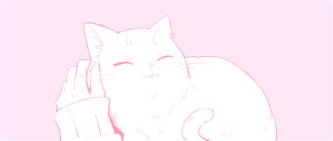 Image result for Cat Taking Using Computer