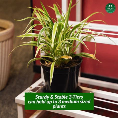 TrustBasket Eden Plant Stand with 3-Tier Shelves, Trellis for Climbing