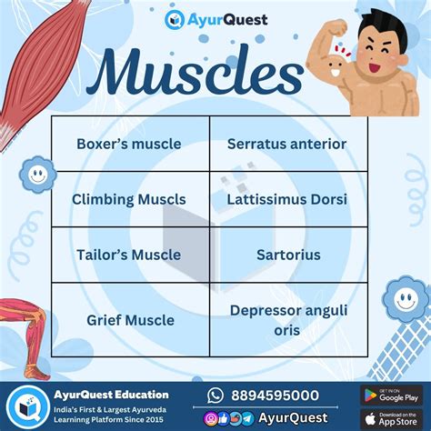 Nicknames For Muscles