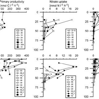 Areal rates of (a) primary productivity, (b) nitrate uptake, and (c ...