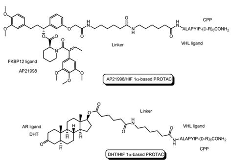 Proteolysis-Targeting Chimera (PROTAC) Delivery into the Brain across ...