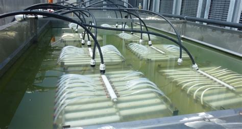 Image result for Membrane Bioreactor Process
