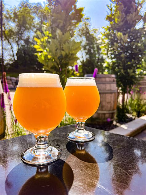 Double Current Obsession - Nine Mile Brewing