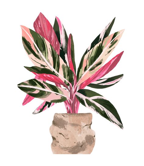 Plant Guides | Plant illustration, Watercolor plants, Plant guide