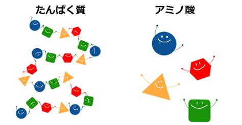 Image result for Nearest Neighbours Algorithm Graph Examples
