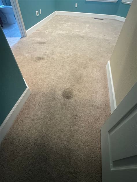 Affordable Carpet Cleaning Services in Hayward, CA