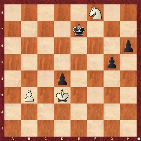 Endgame Magic with Padmini Rout and Karsten Mueller - ChessBase India