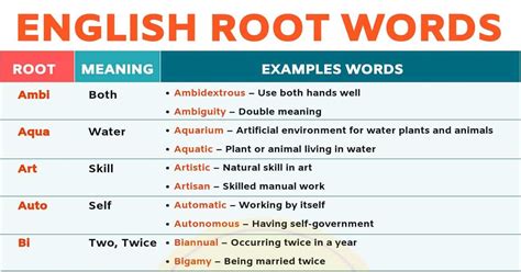 Root Words: Boost Your English Vocabulary With 45 Root Words - My ...
