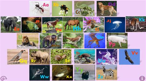 Image result for Simple Tree JavaScript