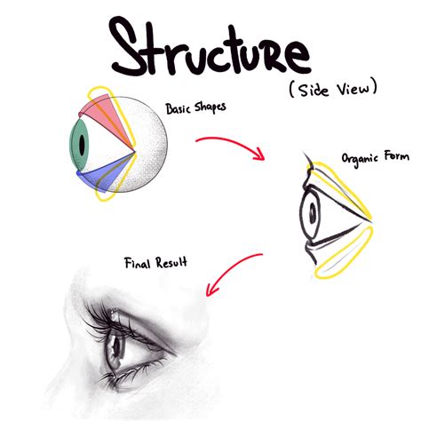 How To Draw Basic Eyes