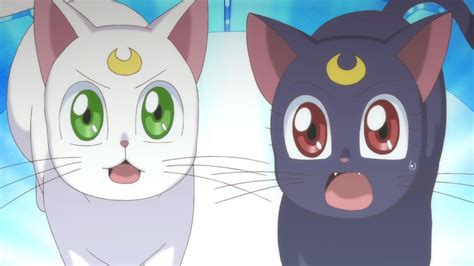 Sailor Moon Cats Wallpapers - Wallpaper Cave