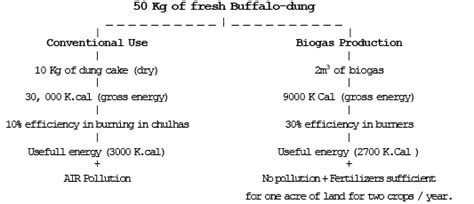 Single Cell Protein and Bioenergy - Biology for EmSAT Achieve PDF Download