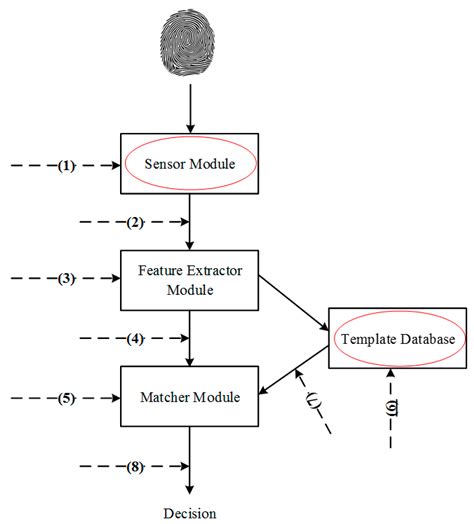 Security and Accuracy of Fingerprint-Based Biometrics: A Review