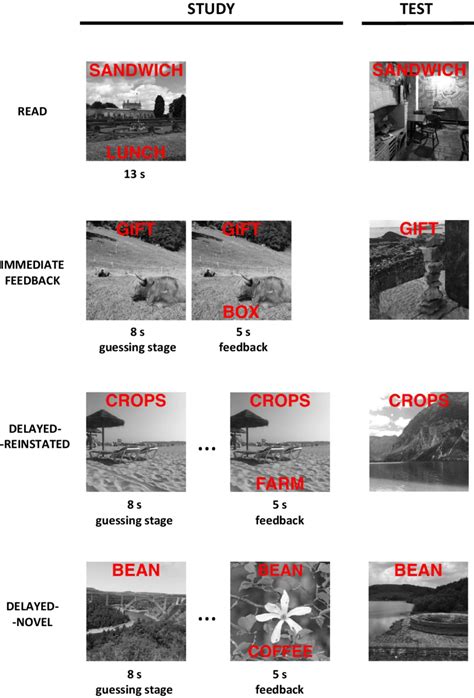 Block Design Experiment 的图像结果