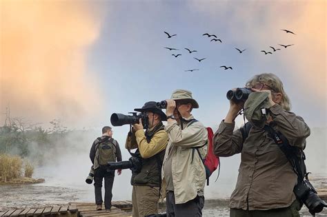 Packing List For a Bird Watching Safari Tour In Africa | Africa Tours
