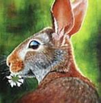 Image result for Colorfull Art Rabbit