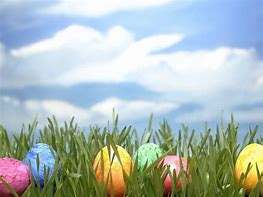 Image result for Easter Egg No Background