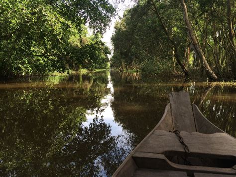 10 Mustvisit National Parks Within Vietnam's Natural Environment