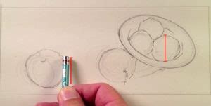 Image result for Accuracy Drawing Lesson