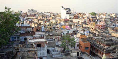 Planting Small Trees on Your Rooftop Terrace Could Save You From ...