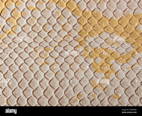 Leather Work Snake Skin 的图像结果