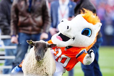 Broncos troll Colts with funny tweets after Sunday’s…