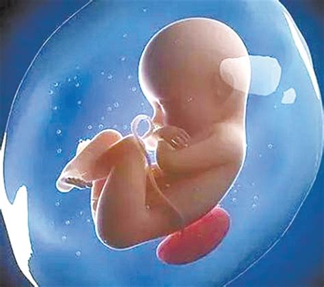 带你看看受精卵怎么培养 胚胎怎么评级 - 知乎