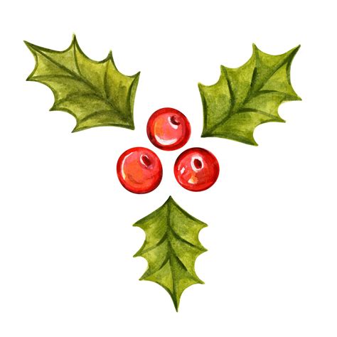Holly Drawings Christmas