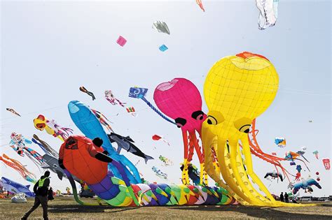 Kite 的图像结果