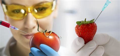 What Is Food Engineering 的图像结果