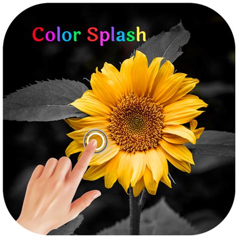 Color Splash App 的图像结果