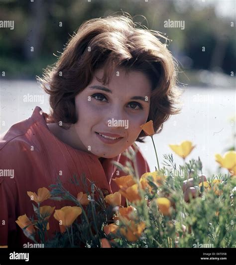 ANGELA DORIAN 1975.k27358.Supplied by Photos, inc.(Credit Image ...