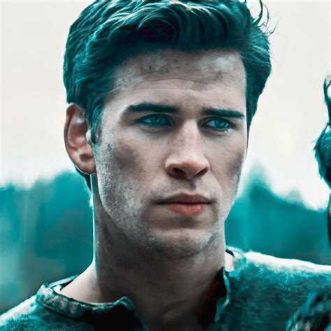 𝘎𝘢𝘭𝘦 ۰ ۪۪۫۫ ·༊ ╰ ©𝐵𝑋𝑊𝐼𝐷𝑂𝑊 | Gale hunger games, Hunger games, Liam hemsworth