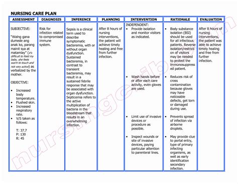 Nursing Diagnosis Care Plan Template - Content Calendar Template