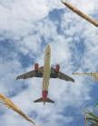 Airlines face $11 bn supply chain hit in 2025, Iata says | Mint New ...