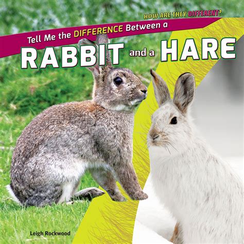 Tell Me the Difference Between a Rabbit and a Hare (How Are They Different?): Rockwood, Leigh ...