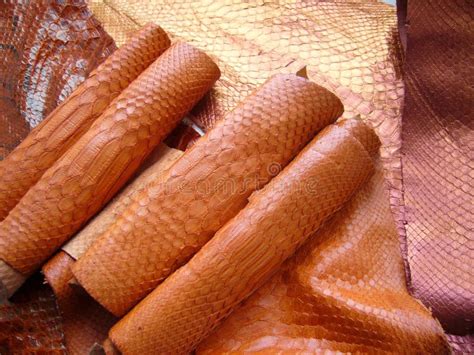 Image result for Red Python Snake Image