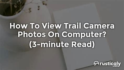Trail Camera to Computer 的图像结果
