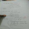 Describe the pattern of the stomata on the leaf surface - Brainly.in