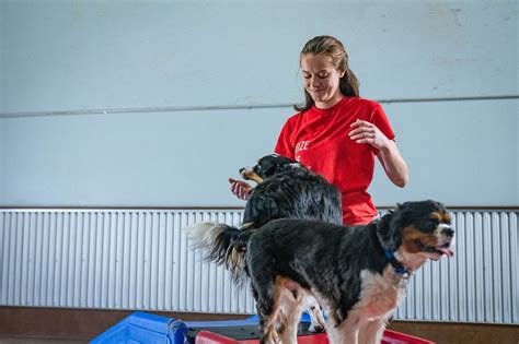 Camp Bow Wow Office Photos
