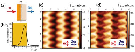 Nonlinear Optical Microscopy of Interface Layers of Epitaxial Garnet Films